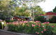 Margaret River Tourist Park - thumb 37