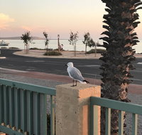 Shark Bay Seafront Apartments