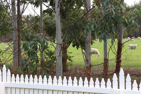 Sapphire Chalets, Augusta - VIC Tourism 9