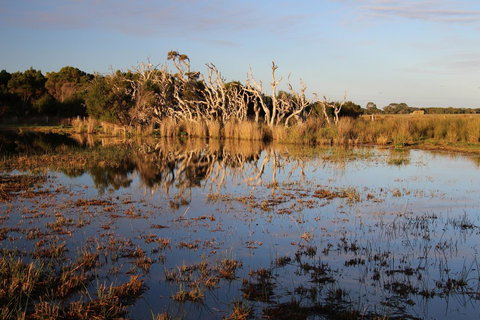 Sapphire Chalets, Augusta - VIC Tourism 13