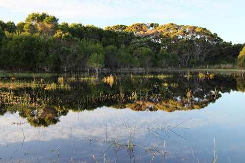 Sapphire Chalets, Augusta - VIC Tourism 14