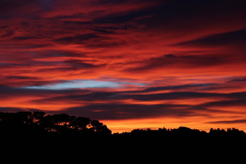 Sapphire Chalets, Augusta - VIC Tourism 15