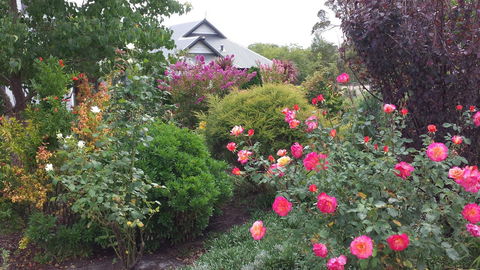 Glenelg On King Bed & Breakfast - VIC Tourism 15
