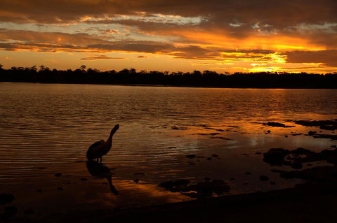 Dungowan Holiday Accommodation - VIC Tourism 31