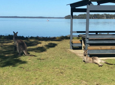 Dungowan Holiday Accommodation - VIC Tourism 33