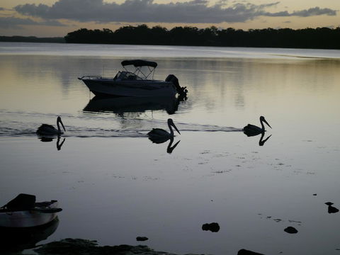 Dungowan Holiday Accommodation - VIC Tourism 41