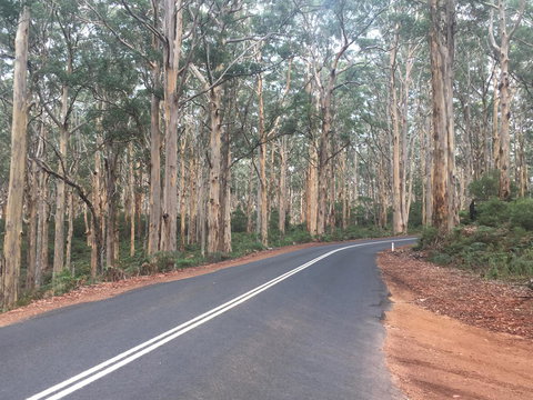 Bella Bali Gardens - VIC Tourism 29