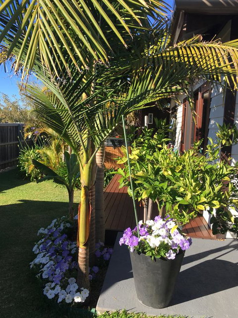 Bella Bali Gardens - VIC Tourism 23