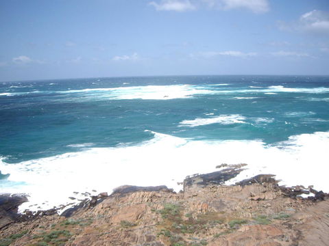 Bella Bali Gardens - VIC Tourism 30