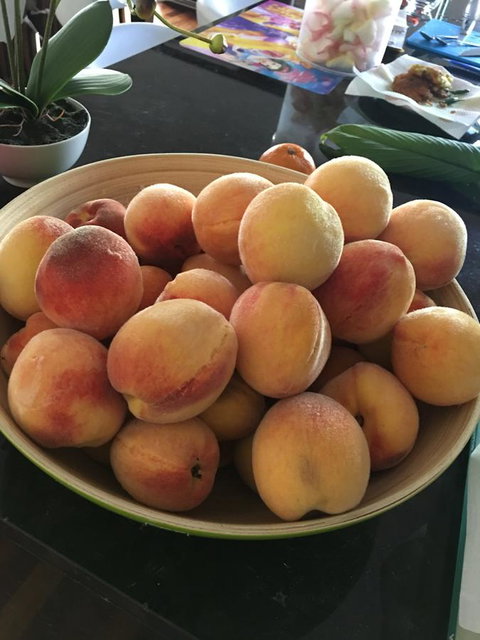 Bella Bali Gardens - VIC Tourism 27