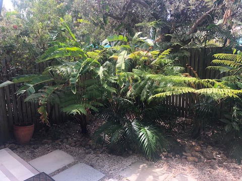East On Byron - VIC Tourism 40