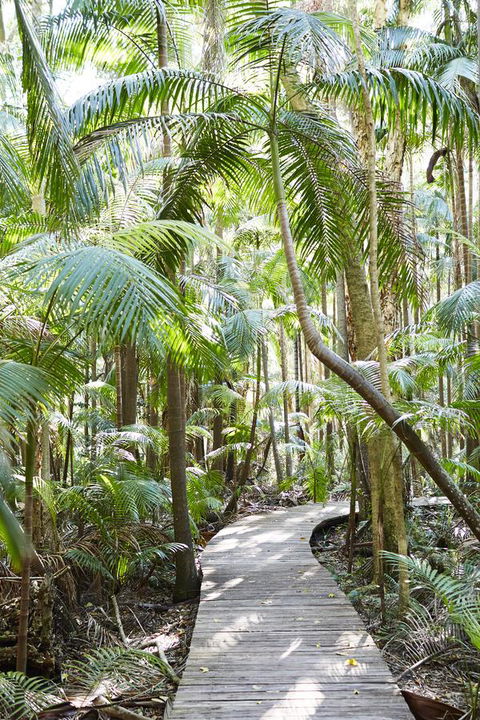 Crystalbrook Byron - VIC Tourism 26