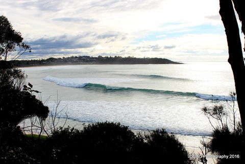 Mollymook Cove Apartments - VIC Tourism 2
