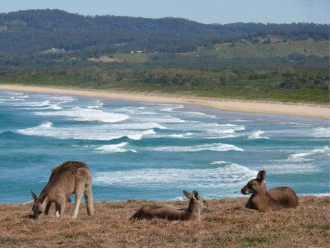 High Tide At Emerald - VIC Tourism 13