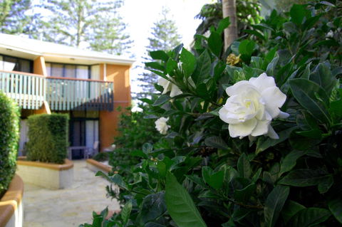 The Crest Byron Bay - VIC Tourism 29
