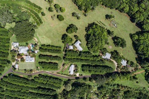 Byron Hinterland Villas - VIC Tourism 17