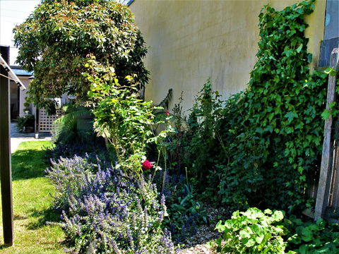 Apple Tree Cottage - VIC Tourism 24