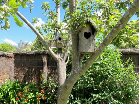 Apple Tree Cottage - VIC Tourism 28