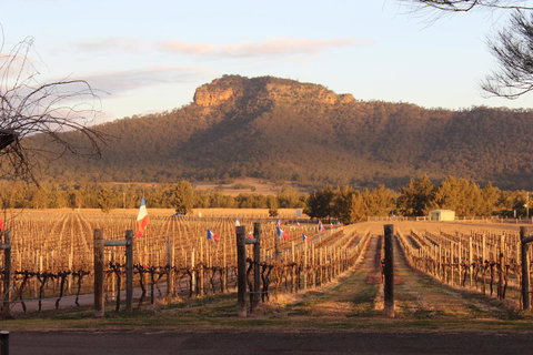 Nightingale Villas - VIC Tourism 4