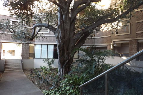 Fiori Apartments - VIC Tourism 32