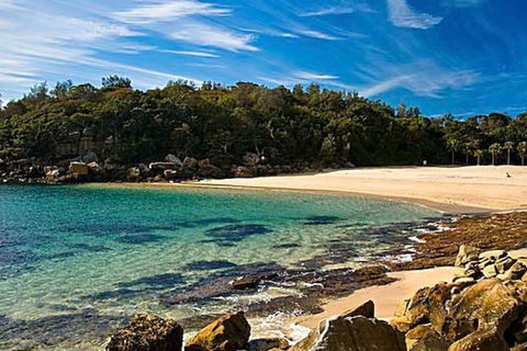 Oversized 2 Bedroom Manly Beach House - VIC Tourism 10