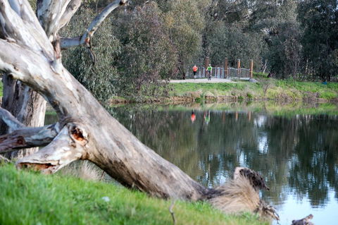 Mercure Albury - VIC Tourism 15
