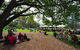 Mercure Albury - thumb 17