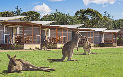 Discovery Parks - Pambula Beach - VIC Tourism 0