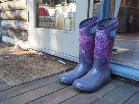Lark Cottage - VIC Tourism 8