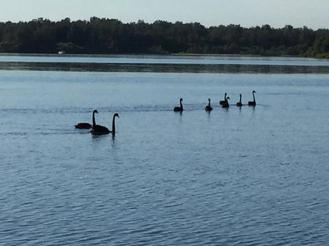 Swan Bay Hideaway - VIC Tourism 7