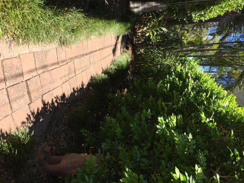 Swan Bay Hideaway - VIC Tourism 6