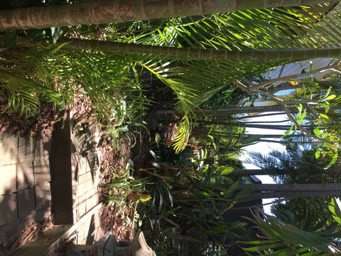 Swan Bay Hideaway - VIC Tourism 9