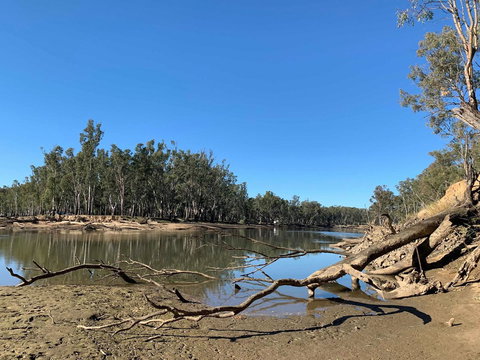 Corowa Bindaree Holiday Park - VIC Tourism 1