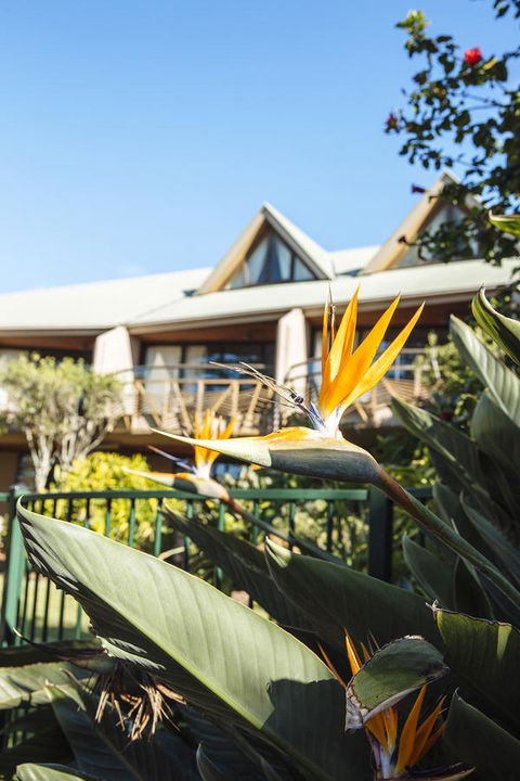 Beach Hotel Resort - VIC Tourism 36