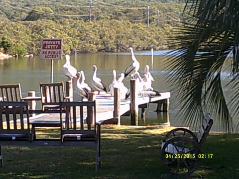Pelican H2O One & Two Bedroom Apartments - VIC Tourism 9