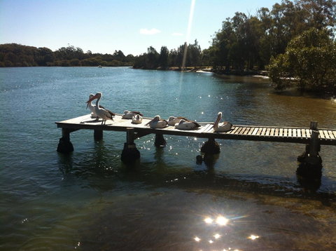 Pelican H2O One & Two Bedroom Apartments - VIC Tourism 5
