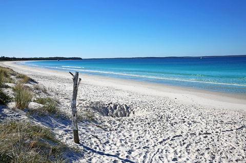 Sandy Toes Beach House Jervis Bay - 2min To Beach - VIC Tourism 22