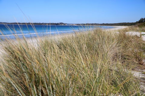 Sandy Toes Beach House Jervis Bay - 2min To Beach - VIC Tourism 23