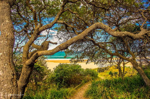 Valla's Beach House - VIC Tourism 2