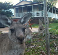 Bush  Bay Cottage - VIC Tourism
