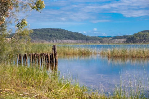 Cabarita Lake Apartments - VIC Tourism 11
