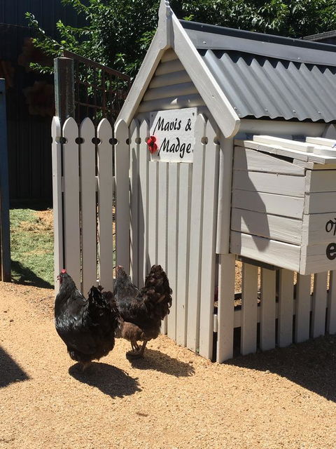 Thelma's Temora - VIC Tourism 12