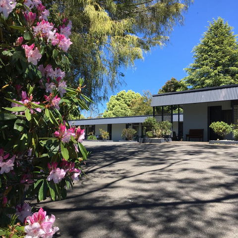 Sky Rider Motor Inn - VIC Tourism 14
