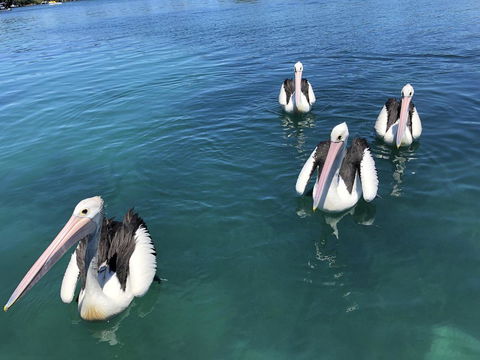 Aquarius 9 - VIC Tourism 4