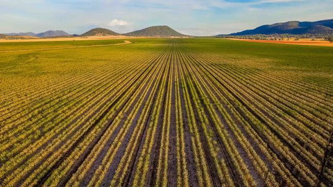 The Old Saddlery - VIC Tourism 14