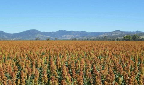 The Old Saddlery - VIC Tourism 16