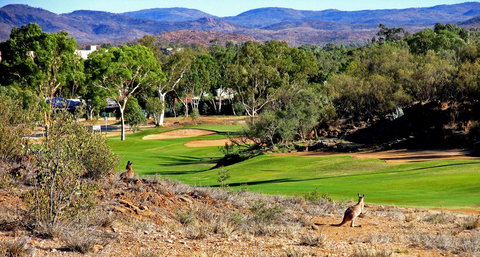 Desert Palms Alice Springs - VIC Tourism 30
