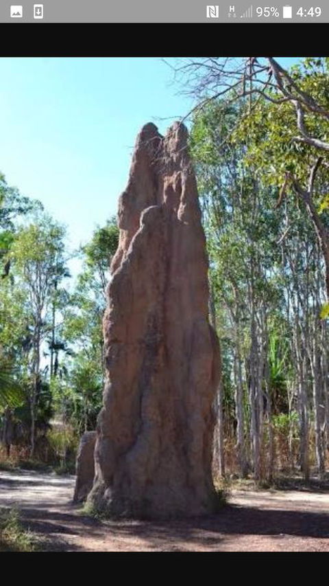 'Tropical Oasis - Darwin NT - VIC Tourism 31