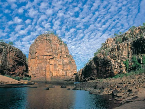 Pine Tree Motel - VIC Tourism 42