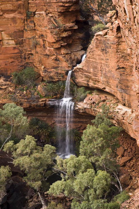 Kings Creek Station - VIC Tourism 0